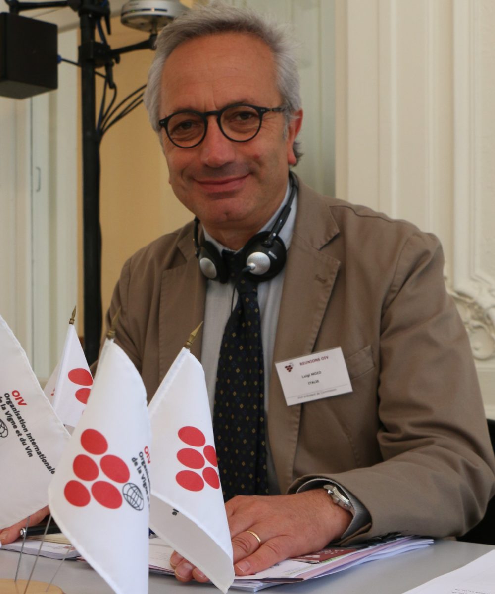 Il Sommelier Magazine Luigi Moio è stato eletto Presidente dell'OIV  
