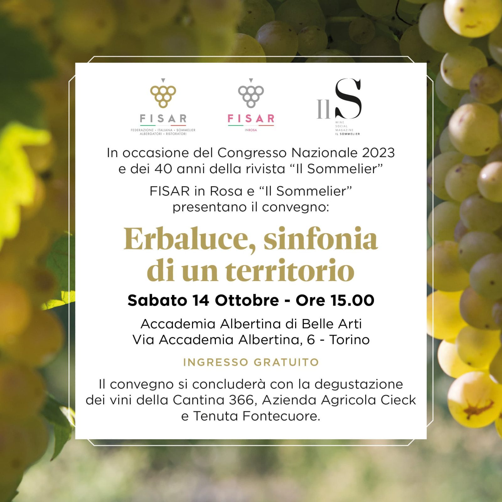 Il Sommelier Magazine "Erbaluce, sinfonia di un territorio":convegno dedicato al vitigno dell'anno 2023 del Piemonte  