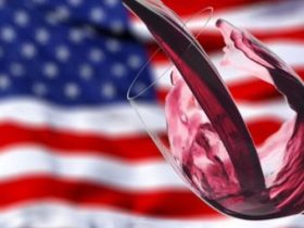 Il Sommelier Magazine Autunno nero per le vendite del vino negli USA. L'Italia regge il colpo meglio di altri  